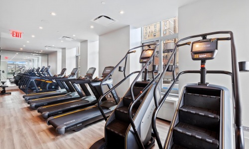 rows of treadmills in a large fitness room