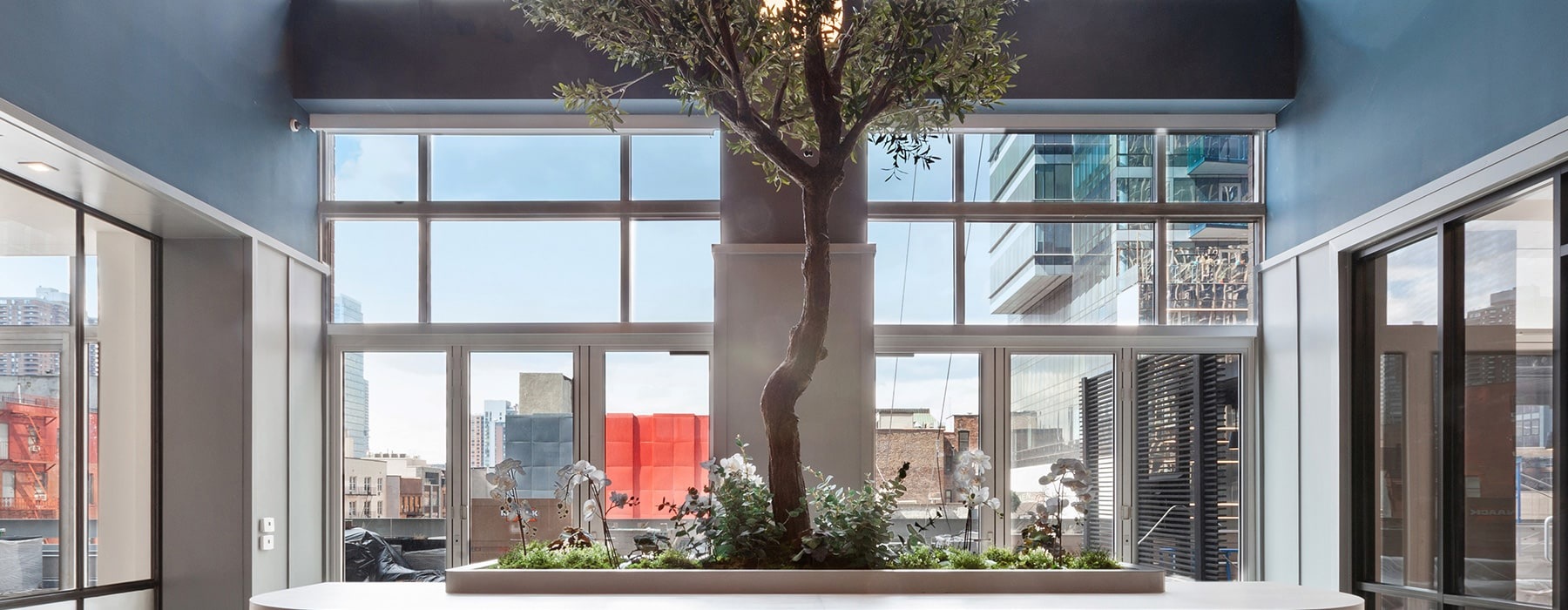 a planted tree amidst an open lobby with high ceilings and connection to amenities